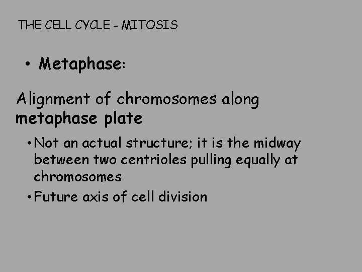 THE CELL CYCLE - MITOSIS • Metaphase: Alignment of chromosomes along metaphase plate •