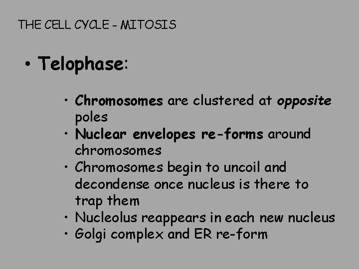 THE CELL CYCLE - MITOSIS • Telophase: • Chromosomes are clustered at opposite poles
