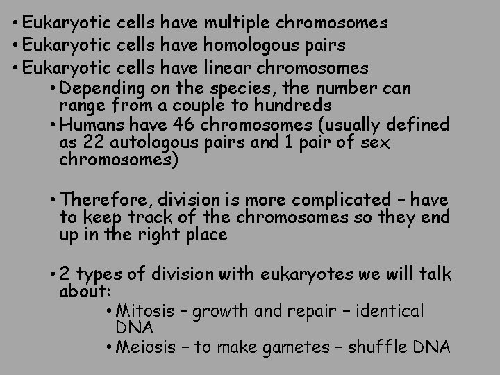  • Eukaryotic cells have multiple chromosomes • Eukaryotic cells have homologous pairs •
