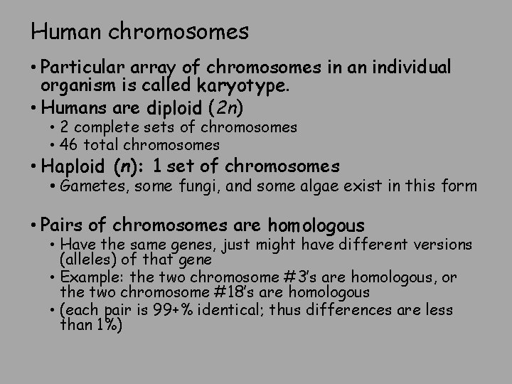Human chromosomes • Particular array of chromosomes in an individual organism is called karyotype.