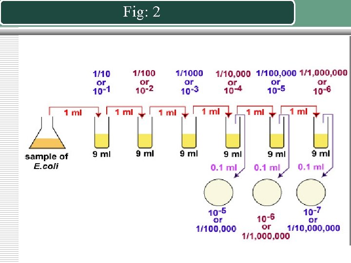 Fig: 2 