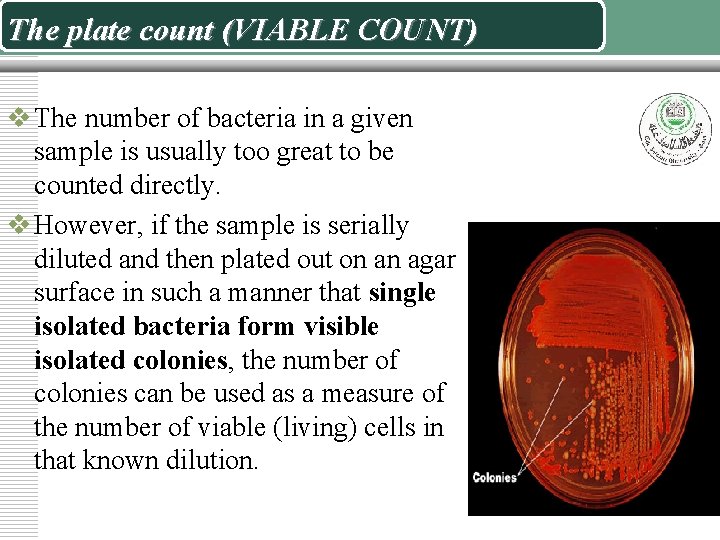 The plate count (VIABLE COUNT) v The number of bacteria in a given sample