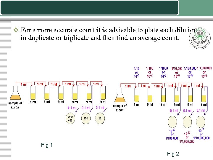 v For a more accurate count it is advisable to plate each dilution in