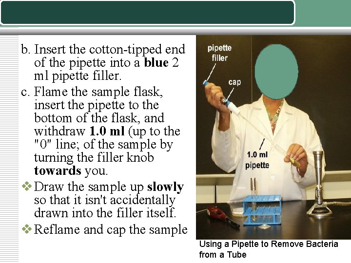 b. Insert the cotton-tipped end of the pipette into a blue 2 ml pipette