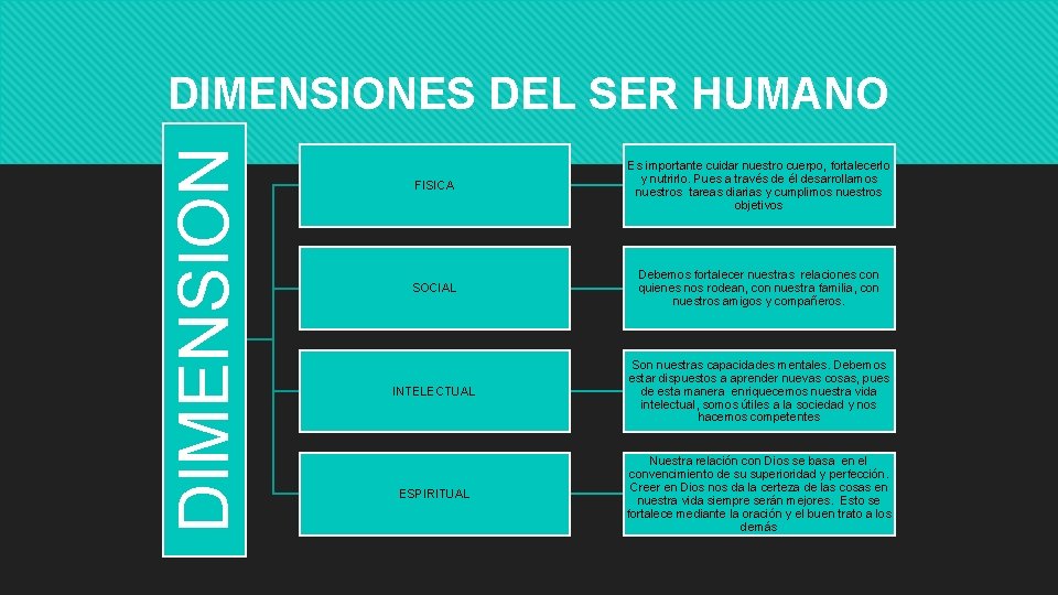 DIMENSIONES DEL SER HUMANO FISICA Es importante cuidar nuestro cuerpo, fortalecerlo y nutrirlo. Pues