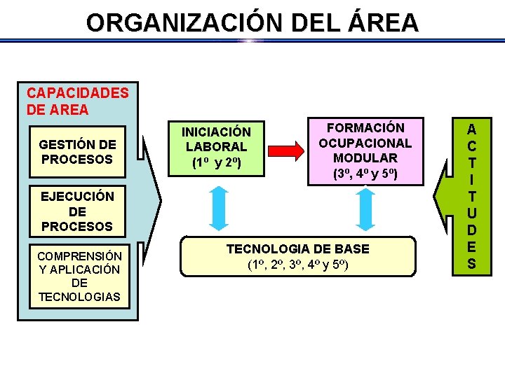 ORGANIZACIÓN DEL ÁREA CAPACIDADES DE AREA GESTIÓN DE PROCESOS INICIACIÓN LABORAL (1º y 2º)