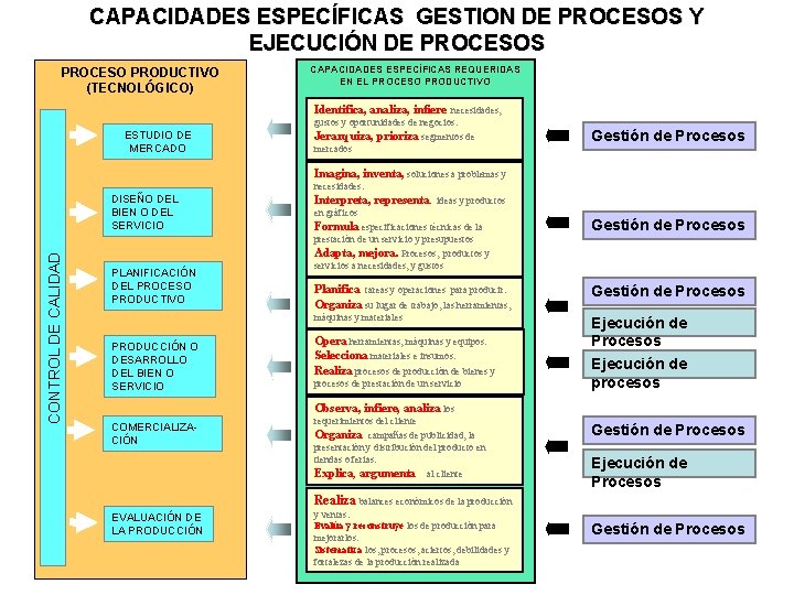 CAPACIDADES ESPECÍFICAS GESTION DE PROCESOS Y EJECUCIÓN DE PROCESOS PROCESO PRODUCTIVO (TECNOLÓGICO) CAPACIDADES ESPECÍFICAS