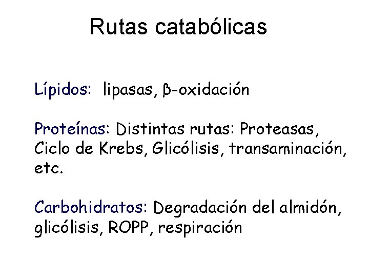 Rutas catabólicas Lípidos: lipasas, β-oxidación Proteínas: Distintas rutas: Proteasas, Ciclo de Krebs, Glicólisis, transaminación,