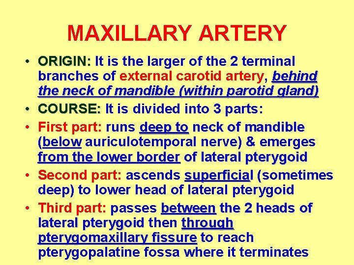 MAXILLARY ARTERY • ORIGIN: It is the larger of the 2 terminal branches of