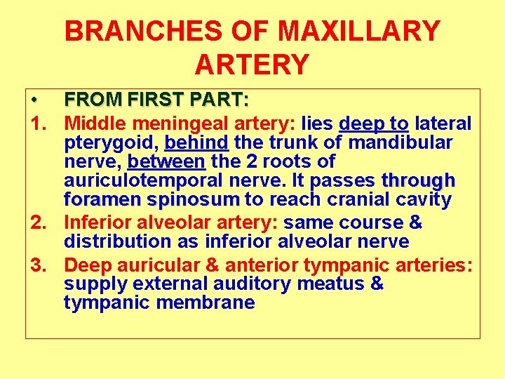 BRANCHES OF MAXILLARY ARTERY • FROM FIRST PART: 1. Middle meningeal artery: lies deep