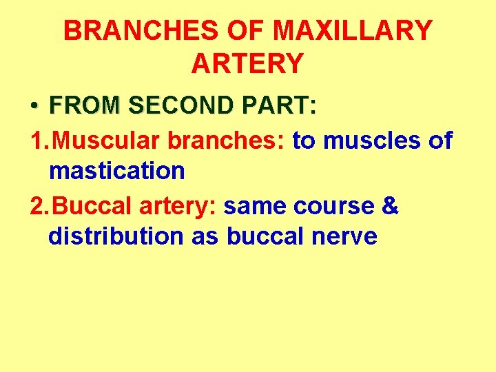 BRANCHES OF MAXILLARY ARTERY • FROM SECOND PART: 1. Muscular branches: to muscles of