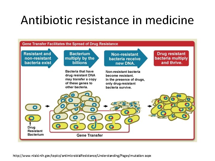 Antibiotic resistance in medicine http: //www. niaid. nih. gov/topics/antimicrobial. Resistance/Understanding/Pages/mutation. aspx 