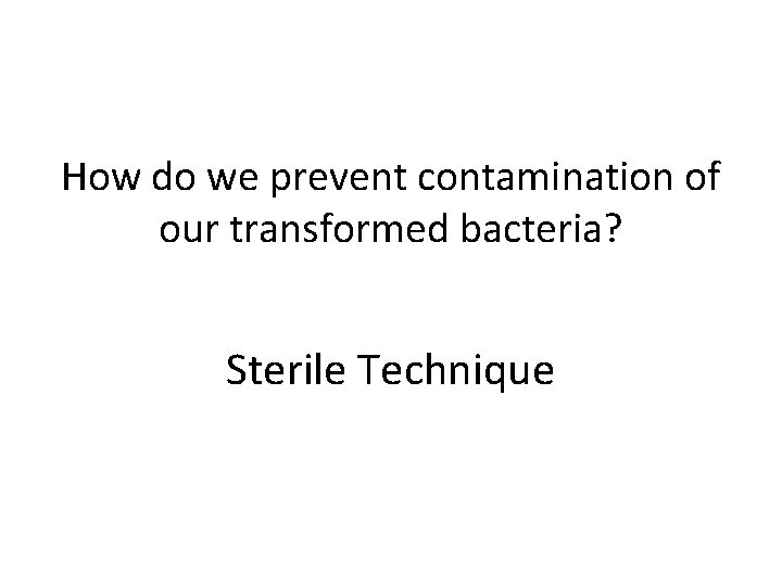 How do we prevent contamination of our transformed bacteria? Sterile Technique 