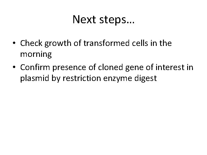 Next steps… • Check growth of transformed cells in the morning • Confirm presence