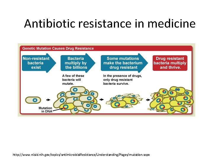Antibiotic resistance in medicine http: //www. niaid. nih. gov/topics/antimicrobial. Resistance/Understanding/Pages/mutation. aspx 