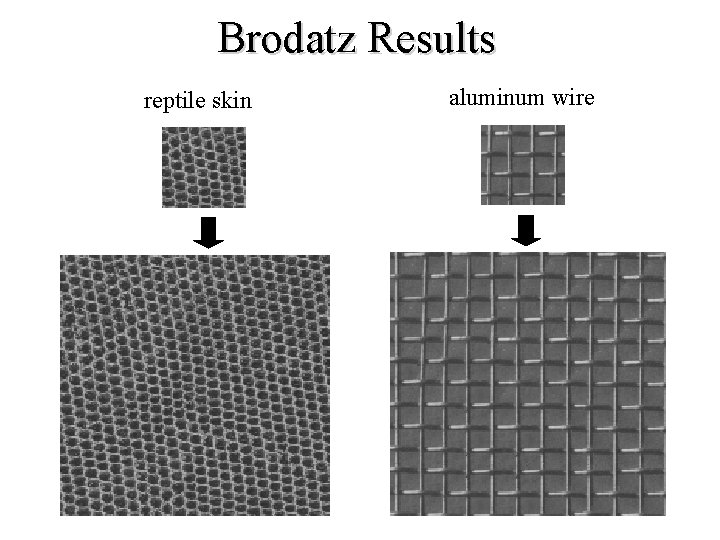 Brodatz Results reptile skin aluminum wire 