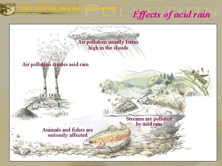 Unit 8 Acid rain, smog and global warming Effects of acid rain Air pollution