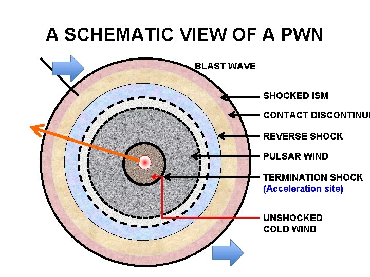 A SCHEMATIC VIEW OF A PWN BLAST WAVE SHOCKED ISM CONTACT DISCONTINUI REVERSE SHOCK