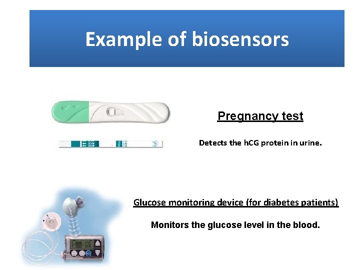 Example of biosensors Pregnancy test Detects the h. CG protein in urine. Glucose monitoring