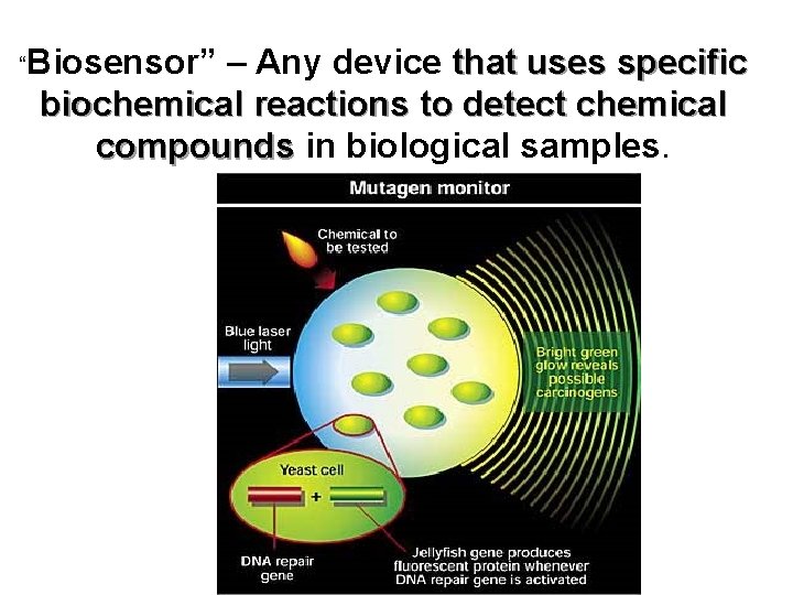 “Biosensor” – Any device that uses specific biochemical reactions to detect chemical compounds in