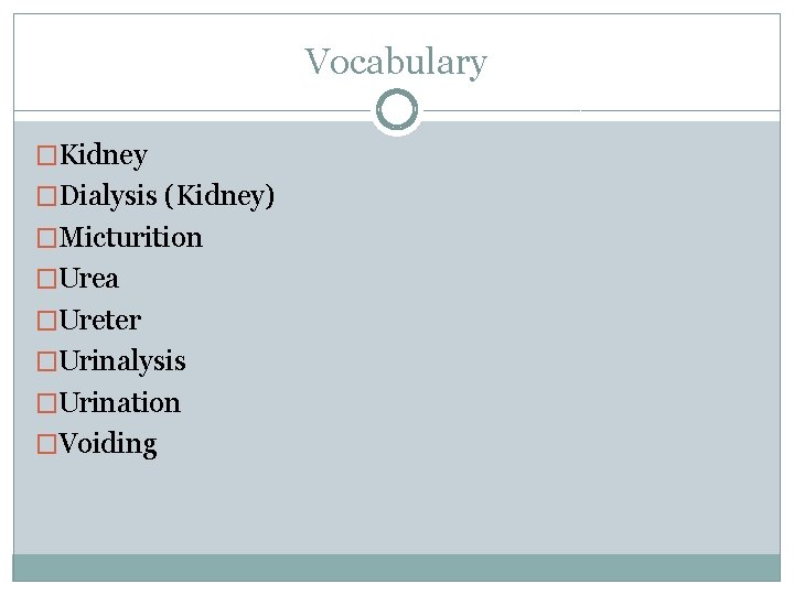 Vocabulary �Kidney �Dialysis (Kidney) �Micturition �Urea �Ureter �Urinalysis �Urination �Voiding 