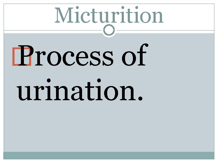 Micturition � Process of urination. 