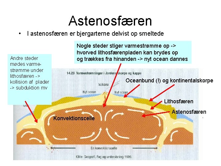 Astenosfæren • I astenosfæren er bjergarterne delvist op smeltede Andre steder mødes varmestrømme under