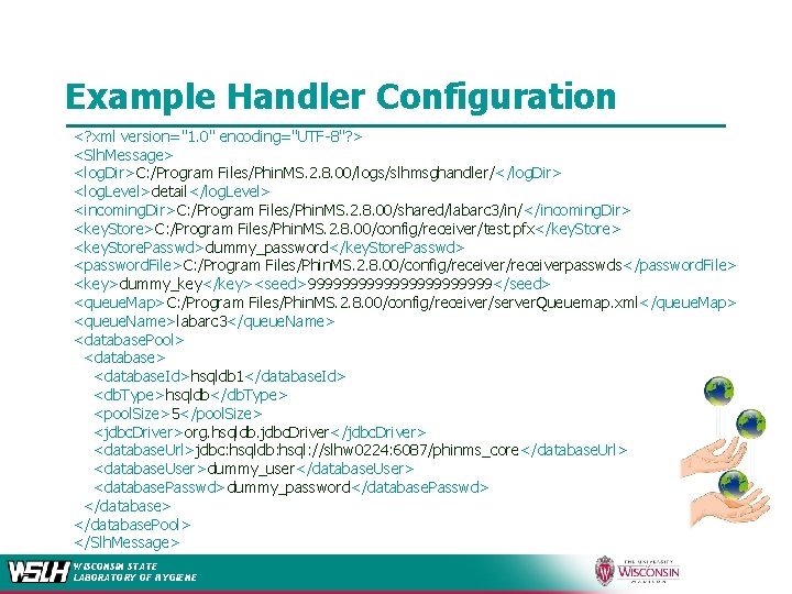 Example Handler Configuration <? xml version="1. 0" encoding="UTF-8"? > <Slh. Message> <log. Dir>C: /Program