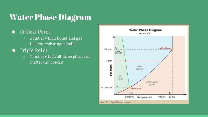 Water Phase Diagram ● Critical Point ○ Point at which liquid and gas become