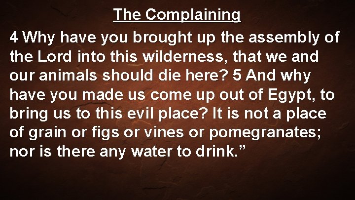 The Complaining 4 Why have you brought up the assembly of the Lord into