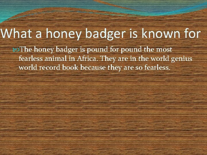 What a honey badger is known for The honey badger is pound for pound