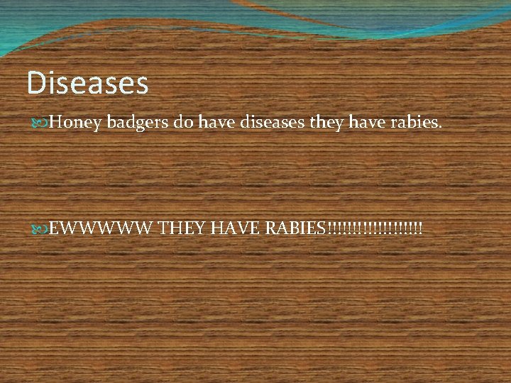 Diseases Honey badgers do have diseases they have rabies. EWWWWW THEY HAVE RABIES!!!!!!!!!! 