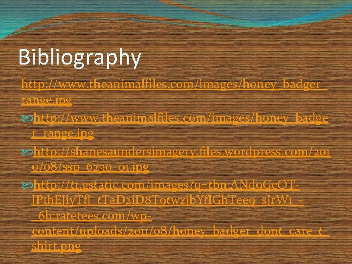 Bibliography http: //www. theanimalfiles. com/images/honey_badger_ range. jpg http: //www. theanimalfiles. com/images/honey_badge r_range. jpg http: