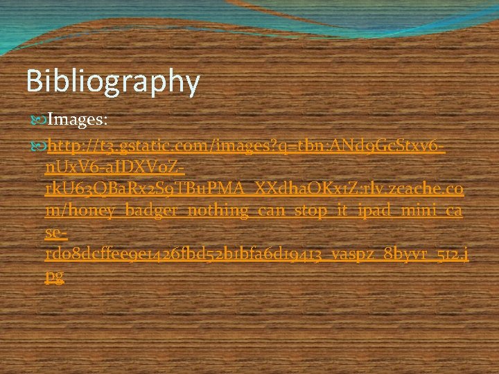 Bibliography Images: http: //t 3. gstatic. com/images? q=tbn: ANd 9 Gc. Stxv 6 n.