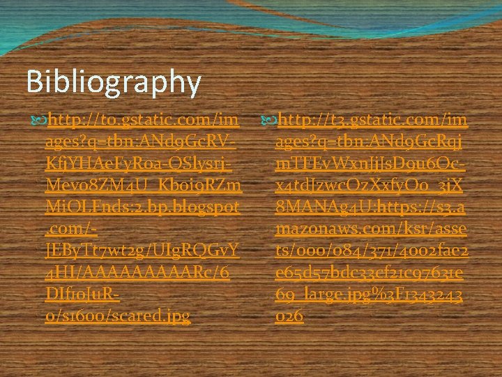 Bibliography http: //t 0. gstatic. com/im ages? q=tbn: ANd 9 Gc. RVKfj. YHAe. Fy.
