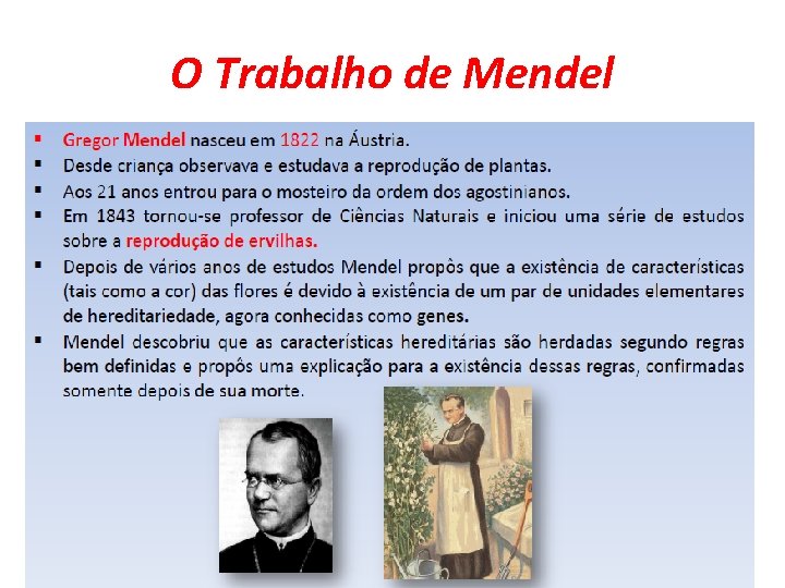 O Trabalho de Mendel 