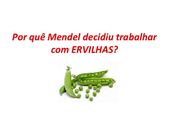 Por quê Mendel decidiu trabalhar com ERVILHAS? 