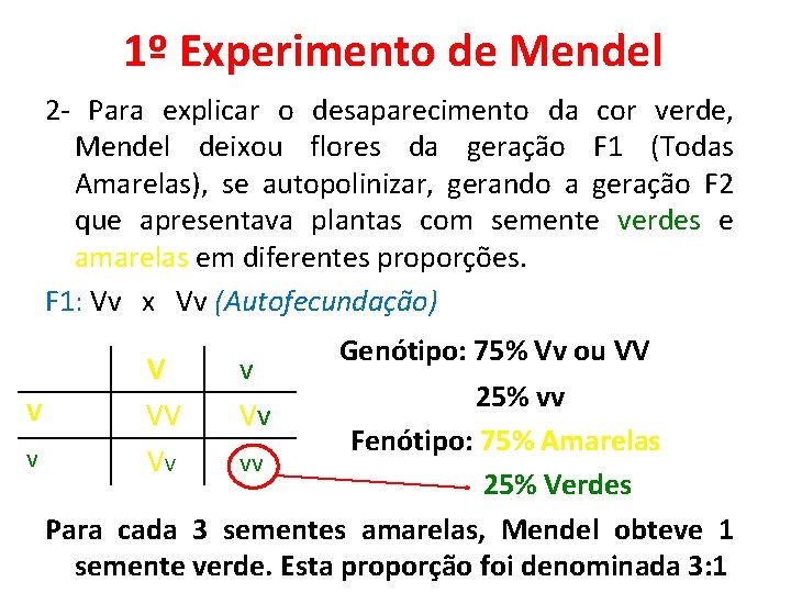 1º Experimento de Mendel 2 - Para explicar o desaparecimento da cor verde, Mendel