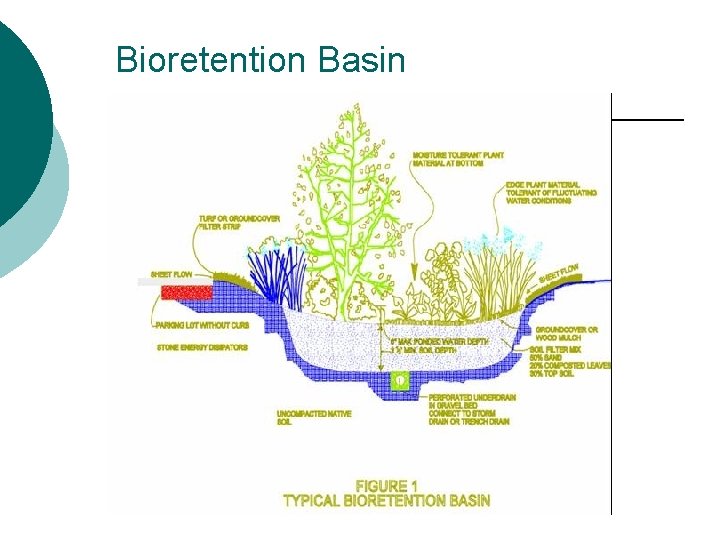 Bioretention Basin 
