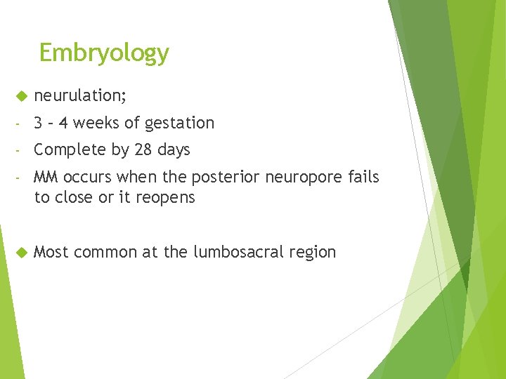 Embryology neurulation; - 3 – 4 weeks of gestation - Complete by 28 days