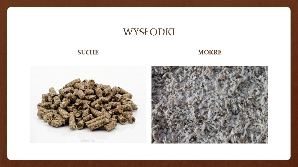 WYSŁODKI SUCHE MOKRE 