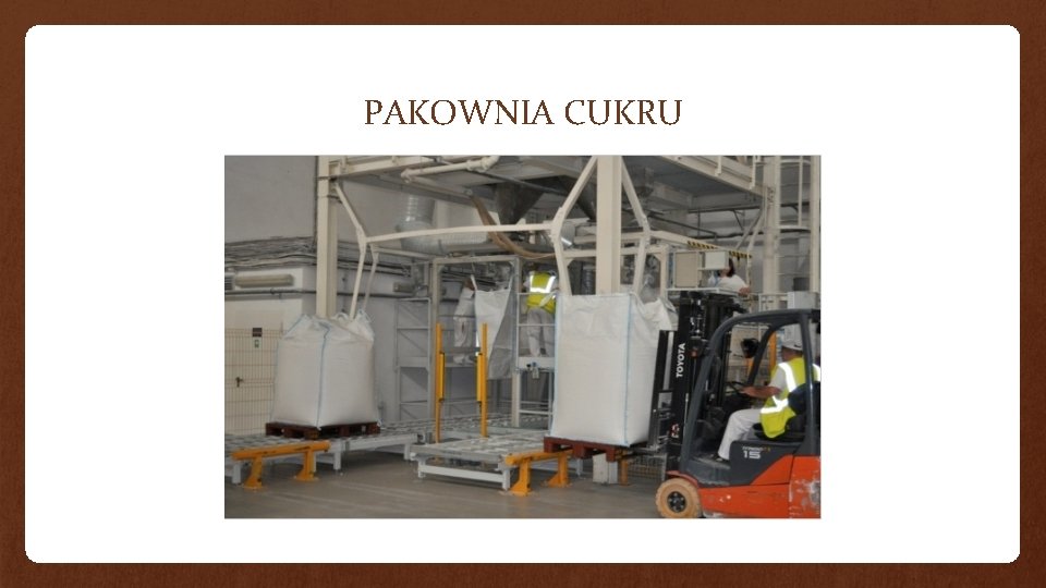 PAKOWNIA CUKRU 
