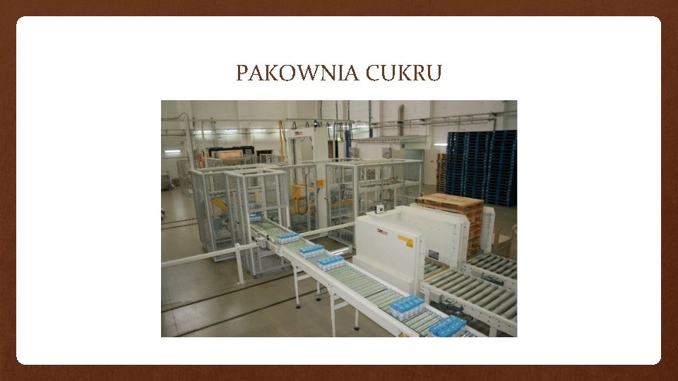 PAKOWNIA CUKRU 