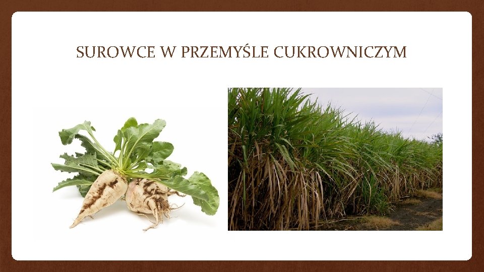 SUROWCE W PRZEMYŚLE CUKROWNICZYM 