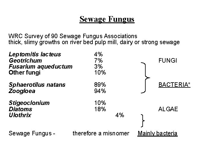 Sewage Fungus WRC Survey of 90 Sewage Fungus Associations thick, slimy growths on river