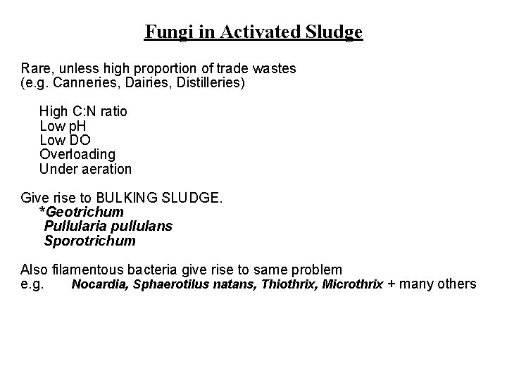 Fungi in Activated Sludge Rare, unless high proportion of trade wastes (e. g. Canneries,