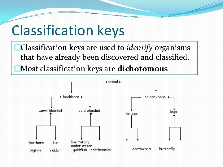 Classification keys �Classification keys are used to identify organisms that have already been discovered