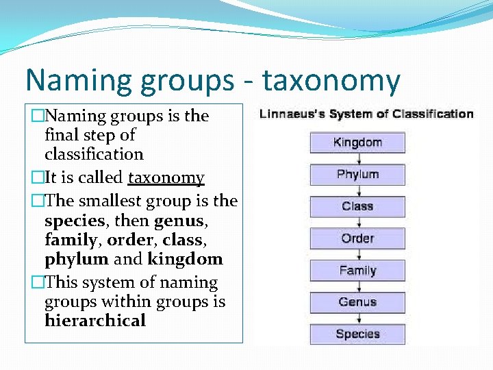 Naming groups - taxonomy �Naming groups is the final step of classification �It is