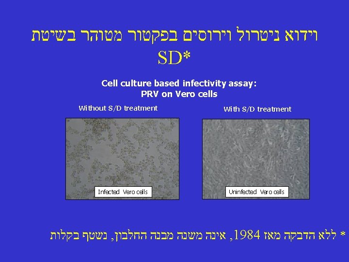  וידוא ניטרול וירוסים בפקטור מטוהר בשיטת SD* Cell culture based infectivity assay: PRV