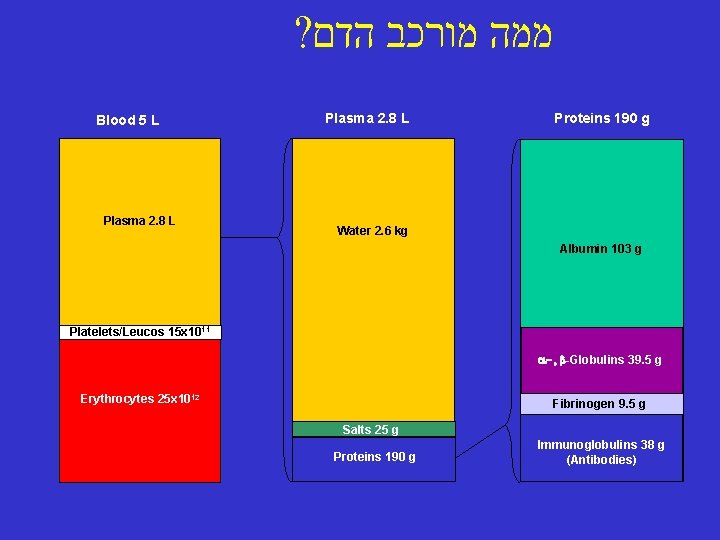 ? ממה מורכב הדם Blood 5 L Plasma 2. 8 L Proteins 190 g